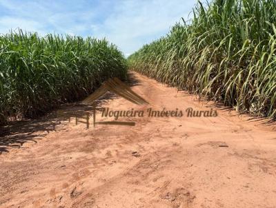 Fazenda para Venda, em Cerqueira Csar, bairro rea Rural de Cerqueira Csar