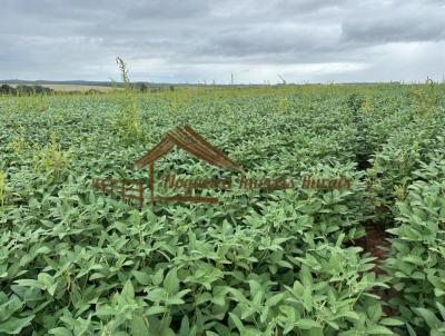 Fazenda para Venda, em Itapetininga, bairro rea Rural de Itapetininga