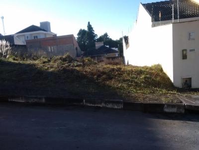 Terreno para Venda, em Lages, bairro Ipiranga