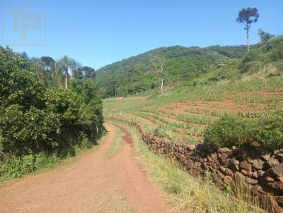 Chcara para Venda, em Santa Maria do Herval, bairro Boa Vista do Herval, 2 dormitrios, 1 banheiro, 1 vaga