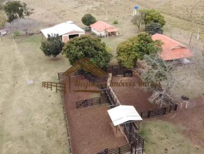 Fazenda para Venda, em Paranapanema, bairro rea rural