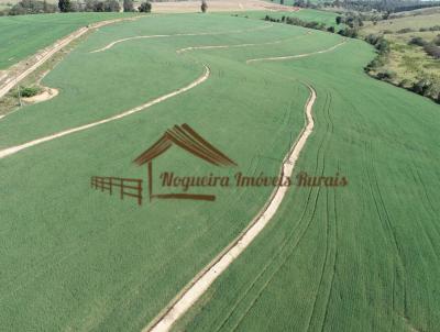 Fazenda para Venda, em Porto Feliz, bairro rea Rural de Porto Feliz