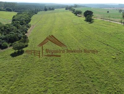 Fazenda para Venda, em Itapetininga, bairro rea Rural de Itapetininga