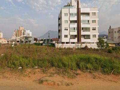 Terreno para Venda, em Palhoa, bairro Pagani