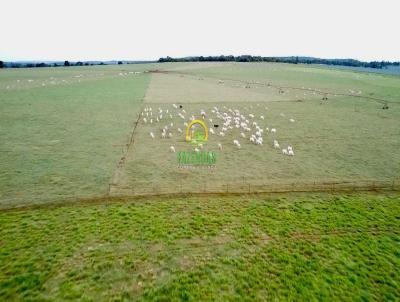 Fazenda para Venda, em Itumbiara, bairro Zona Rural