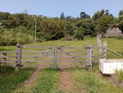 Chcara para Venda, em Santo Antnio da Patrulha, bairro Pinheirinhos