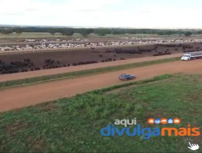 Fazenda para Venda, em Goinia, bairro Zona rural