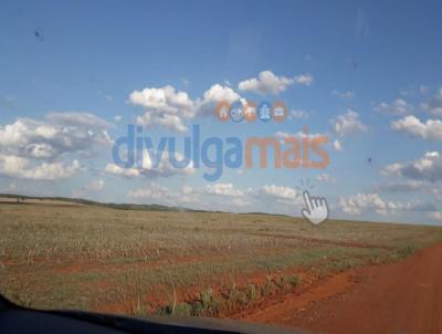 Fazenda para Venda, em Ipameri, bairro Zona rural