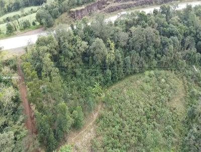 Chcara para Venda, em So Jos do Cedro, bairro LINHA SANTO ANTONIO