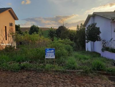 Terreno para Venda, em So Jos do Cedro, bairro Loteamento Santa Rita