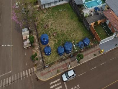 Terreno para Venda, em So Jos do Cedro, bairro BAIRRO CENTRO