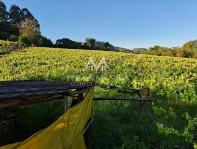 rea Rural para Venda, em Garibaldi, bairro Linha Araujo Souza