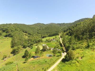 Stio para Venda, em Pomerode, bairro Ribeiro Souto, 2 dormitrios, 3 banheiros