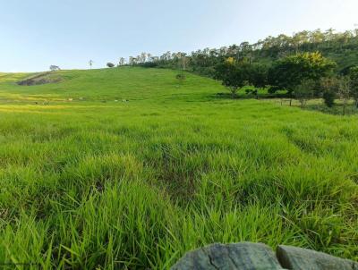 Stio / Chcara para Venda, em Tefilo Otoni, bairro Zona Rural