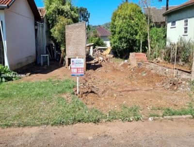 Terreno para Venda, em Baro de Cotegipe, bairro Centro