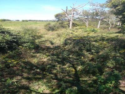 Fazenda para Venda, em Pocon, bairro Pantanal