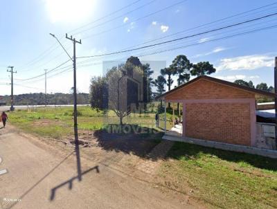 Terreno para Venda, em Guarapuava, bairro Guara as margens da Br 277, Km 321