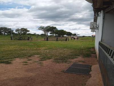 Fazenda para Venda, em Cuiab, bairro Nossa Sra. do Livramento