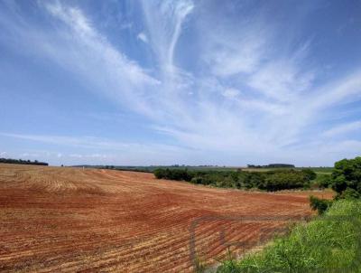 Fazenda para Venda, em Francisco Alves, bairro 