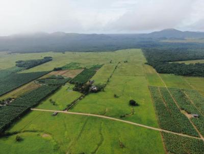 Fazenda para Venda, em Garuva, bairro Garuva