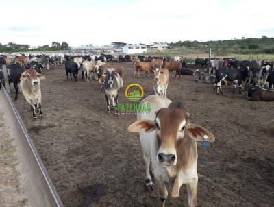 Fazenda para Venda, em Alvorada do Norte, bairro Zona Rural