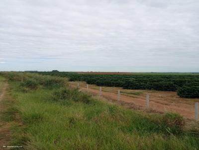 Fazenda para Venda, em Franca, bairro Parque Francal