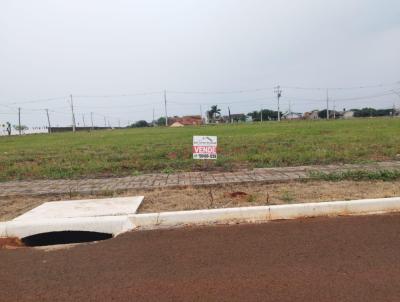 Lote para Venda, em So Miguel do Iguau, bairro Cataratas