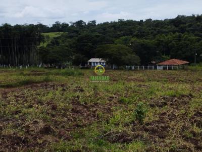 Fazenda para Venda, em Morrinhos, bairro Zona Rural