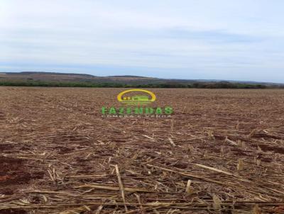 Fazenda para Venda, em Goiatuba, bairro Zona Rural