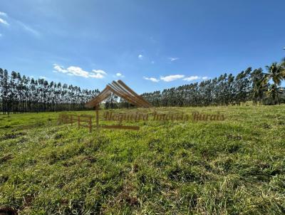 Stio para Venda, em Porangaba, bairro rea rural