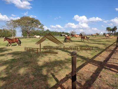 Haras para Venda, em Itapetininga, bairro rea Rural de Itapetininga