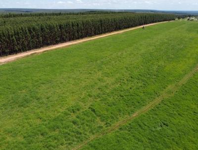 Fazenda para Venda, em Bonfinpolis de Minas, bairro Rural