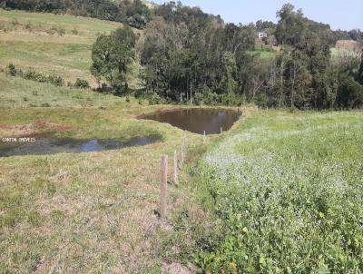 Chcara para Venda, em So Jos do Cedro, bairro LINHA SANTO ANTONIO