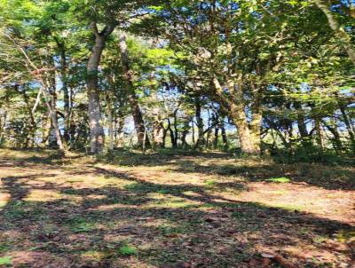 Terreno para Venda, em S�o Bento do Sul, bairro Centen�rio