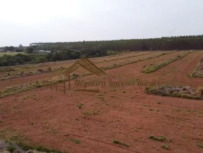 Stio para Venda, em Botucatu, bairro rea Rural de Botucatu