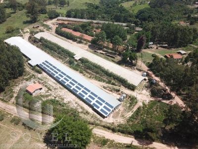 Granja para Venda, em Corumbata, bairro Corumbatai, 6 dormitrios, 5 banheiros, 1 sute, 4 vagas