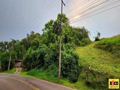 Terreno para Venda, em Nova Petrpolis, bairro Vila Olinda