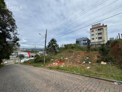 Terreno para Venda, em So Jos, bairro Areias