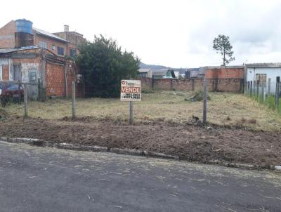 Terreno para Venda, em , bairro Albatroz