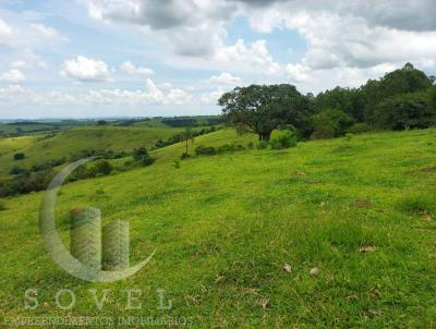 Stio para Venda, em Ipena, bairro zona rural, 2 dormitrios