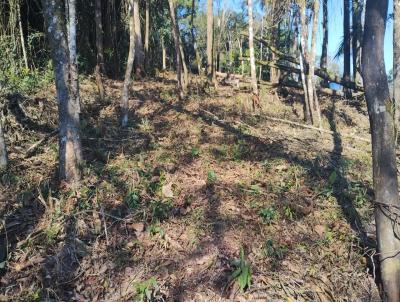 Terreno para Venda, em Juquitiba, bairro Barnabes