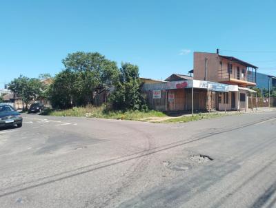 Terreno para Venda, em Sapucaia do Sul, bairro Nova Sapucaia