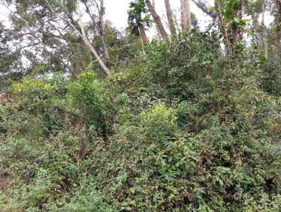 Terreno para Venda, em Itanham, bairro Coronel