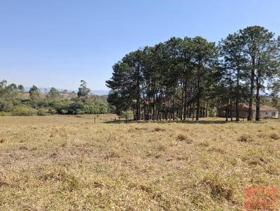 Stio para Venda, em Pouso Alegre, bairro Afonsos