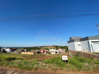 Terreno para Venda, em Trs Passos, bairro Pindorama