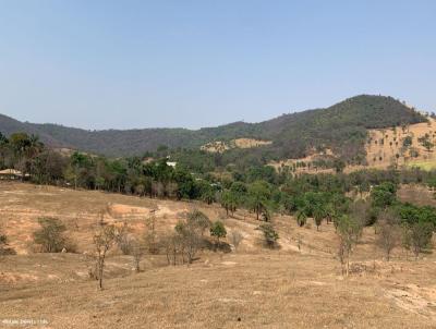 Terreno para Venda, em Florestal, bairro -