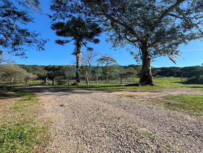 Chcara para Venda, em Caxias do Sul, bairro Fazenda  Souza