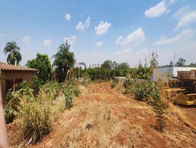 Terreno para Venda, em Jata, bairro Setor Cordeiro