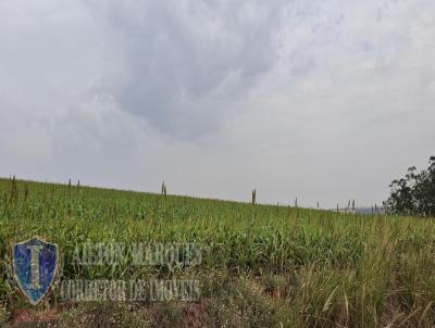 Fazenda para Venda, em Angatuba, bairro RURAL