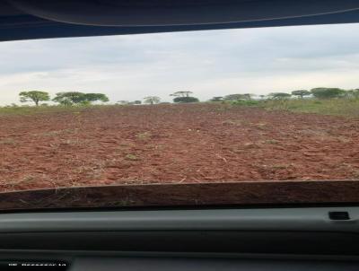 Fazenda para Venda, em Paraso das guas, bairro Aclimao